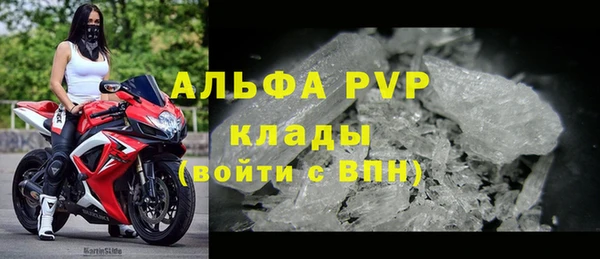 винт Алзамай