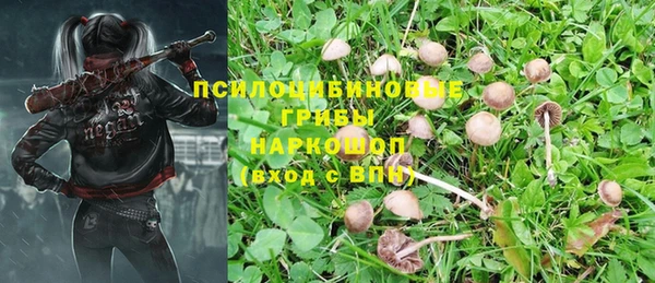 2c-b Алексеевка
