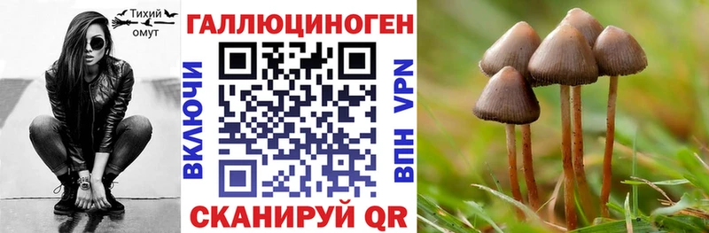 купить  сайты  Кизел  hydra вход  Галлюциногенные грибы Psilocybine cubensis 